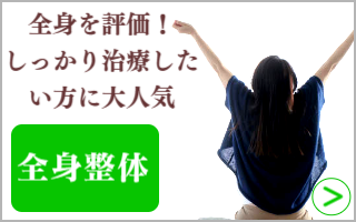 全身整体はこちら