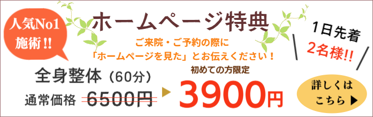 全身整体はこちら